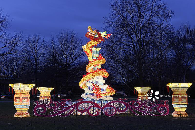 中国龙彩灯，灯光装置，科隆灯光节，科隆动物园，德国北莱茵-威斯特法伦州图片素材