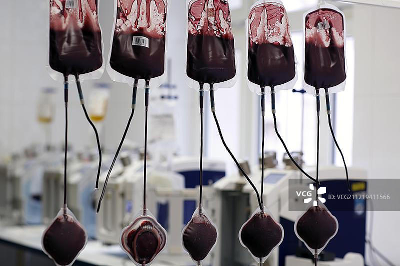 捷克医院输血科的输血袋图片素材