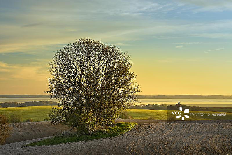 傍晚时分吕根岛亚斯蒙德半岛的田野图片素材