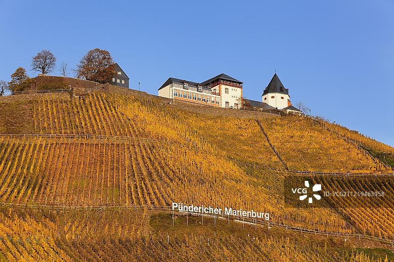 德国莱茵兰-普法尔茨莫泽尔蓬德里希秋季葡萄园上方的马里恩堡城堡景色图片素材