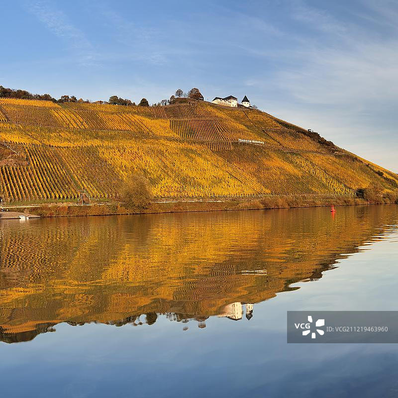 德国莱茵兰-普法尔茨莫泽尔蓬德里希秋季葡萄园上方的马里恩堡城堡景色图片素材