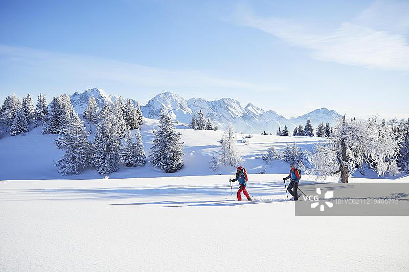 冬季雪鞋徒步：奥地利蒂罗尔州米明Obsteig的西默灵阿尔姆图片素材
