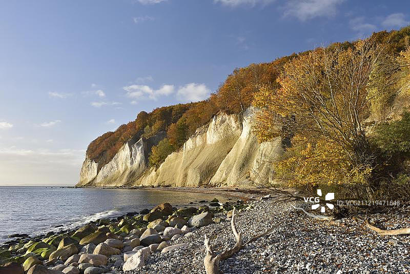德国梅克伦堡-前波美拉尼亚州亚斯蒙德国家公园吕根岛白垩海岸的秋色图片素材