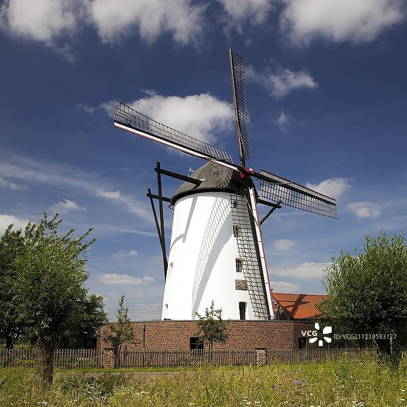 德国北莱茵-威斯特法伦州卡尔斯特的布劳恩斯米勒图片素材