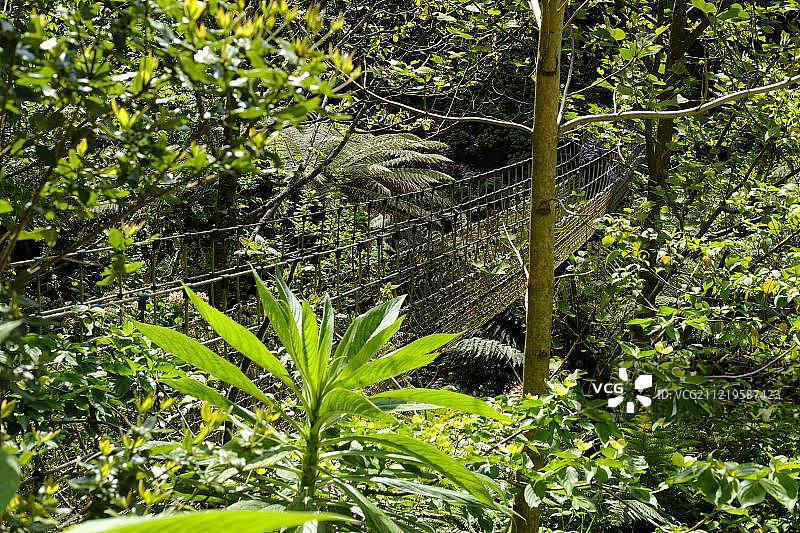 海利根失落花园缅甸吊桥图片素材