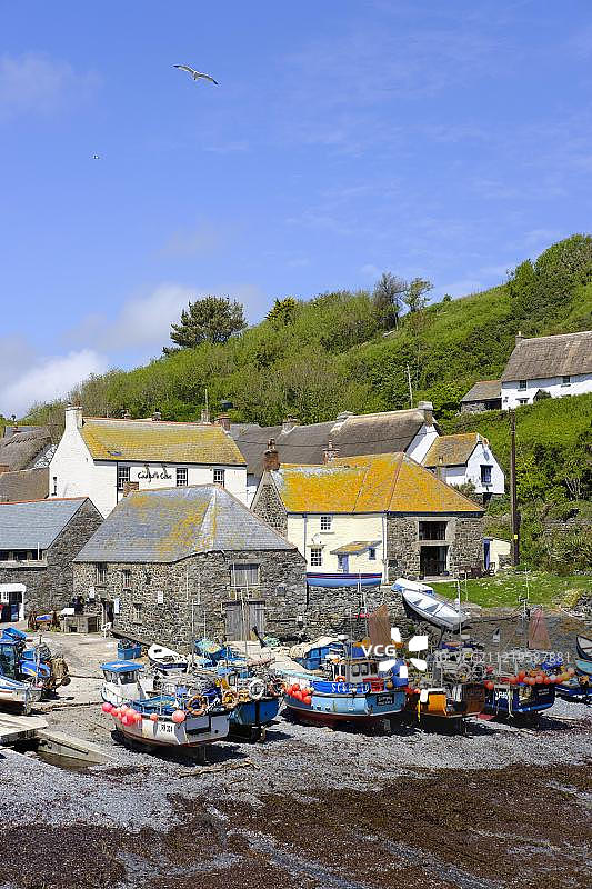 渔港，卡德格威斯，蜥蜴半岛，康沃尔，英格兰，英国，欧洲图片素材