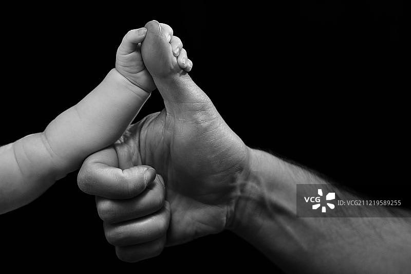 大手和小手，婴儿握着父亲的拇指图片素材