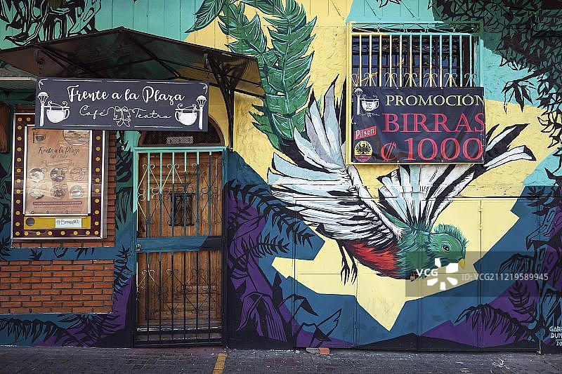 墙壁涂鸦，国鸟格查尔，圣何塞，哥斯达黎加中央山谷，中美洲图片素材