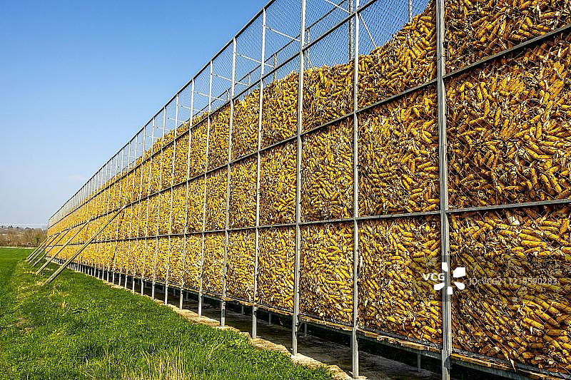 法国奥弗涅-罗讷-阿尔卑斯地区多姆山省储存的玉米芯图片素材