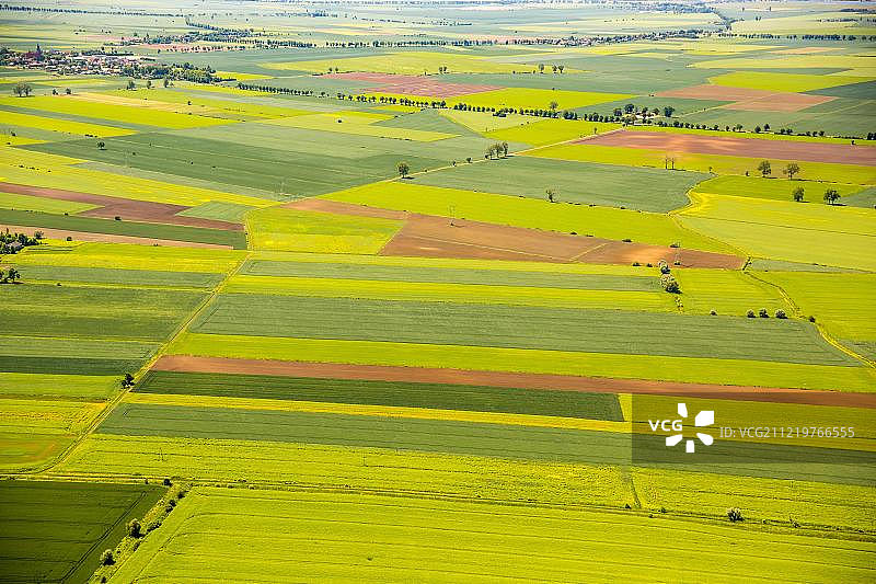 农业：波兰西波美拉尼亚省但泽附近的田野图片素材