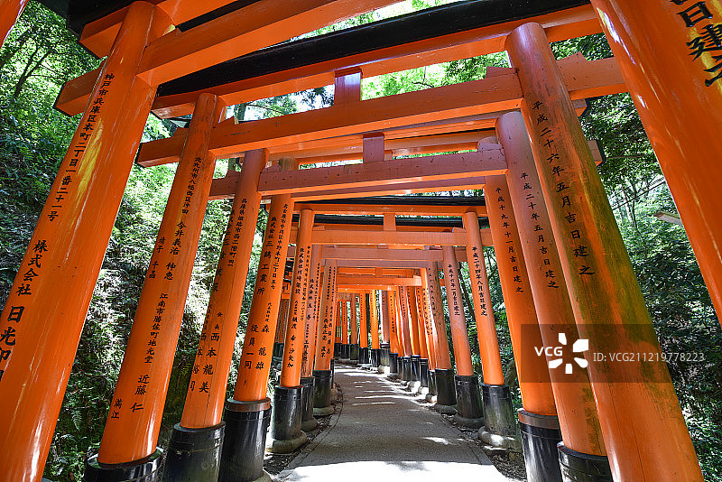 伏见稻荷大社图片素材