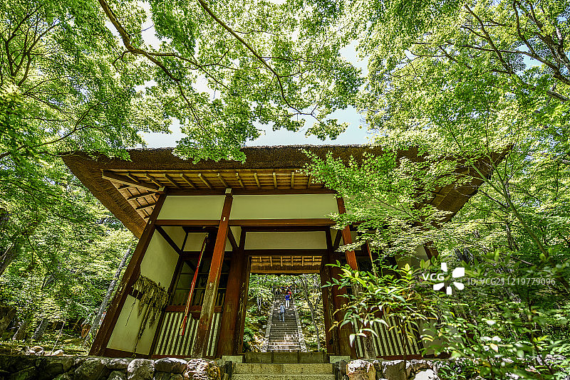 京都岚山图片素材