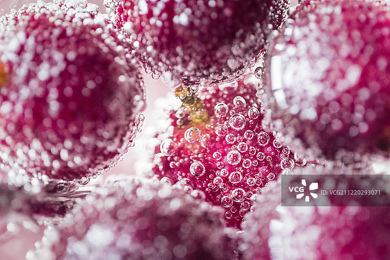 夏日气泡杨梅图片素材