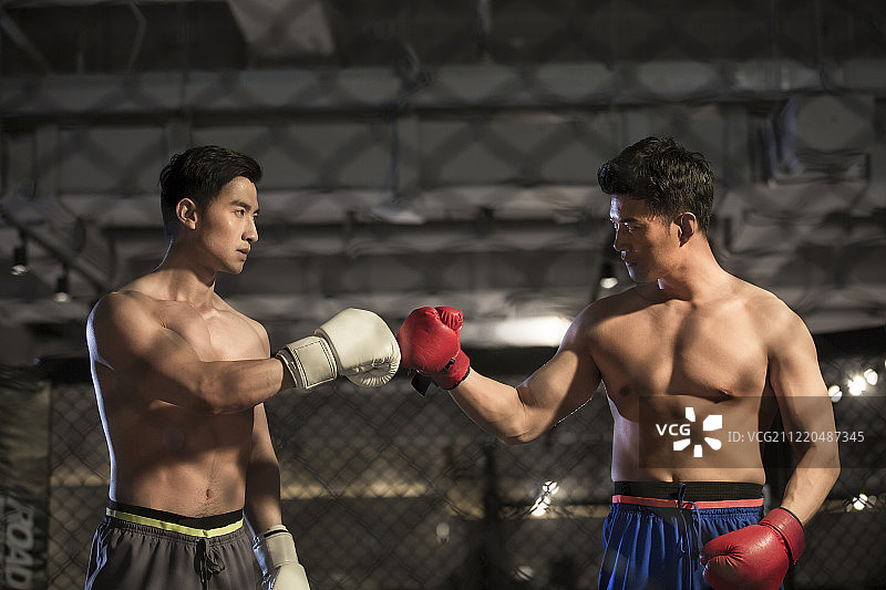 两个青年男拳击手对抗图片素材