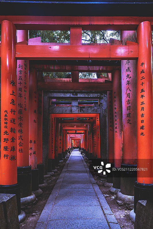 日本京都伏见稻荷大社千鸟居图片素材