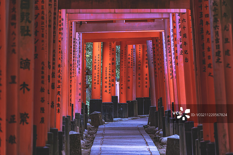 日本京都伏见稻荷大社千鸟居图片素材