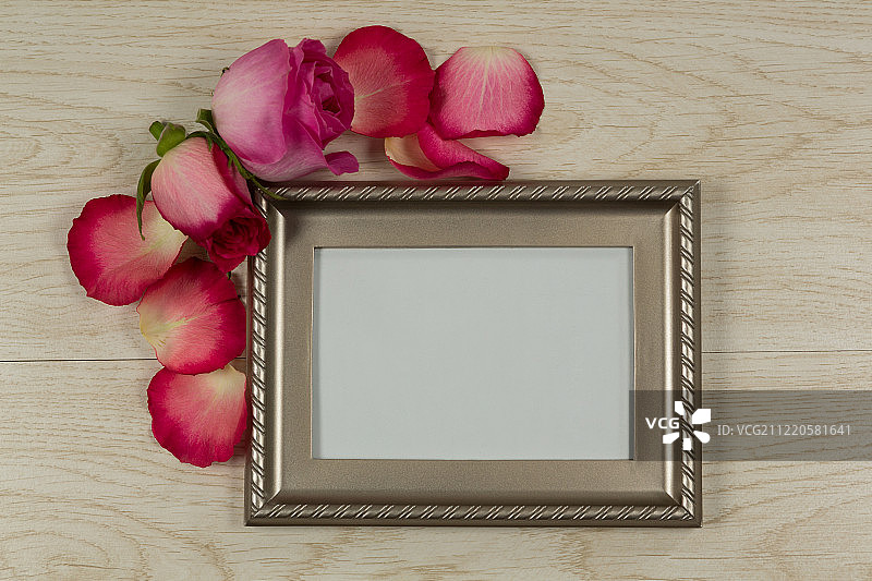 玫瑰花和花瓣的空相框特写图片素材