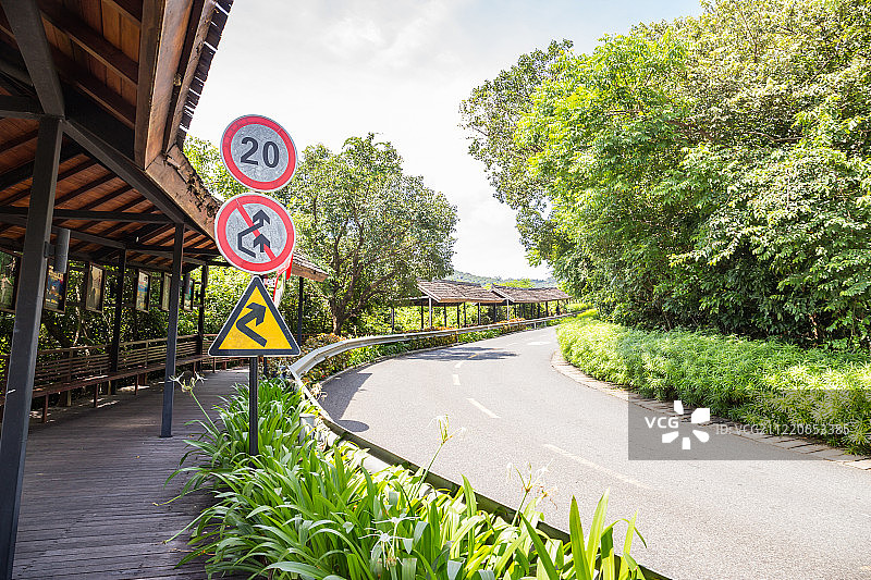 热带天堂雨林景区道路图片素材