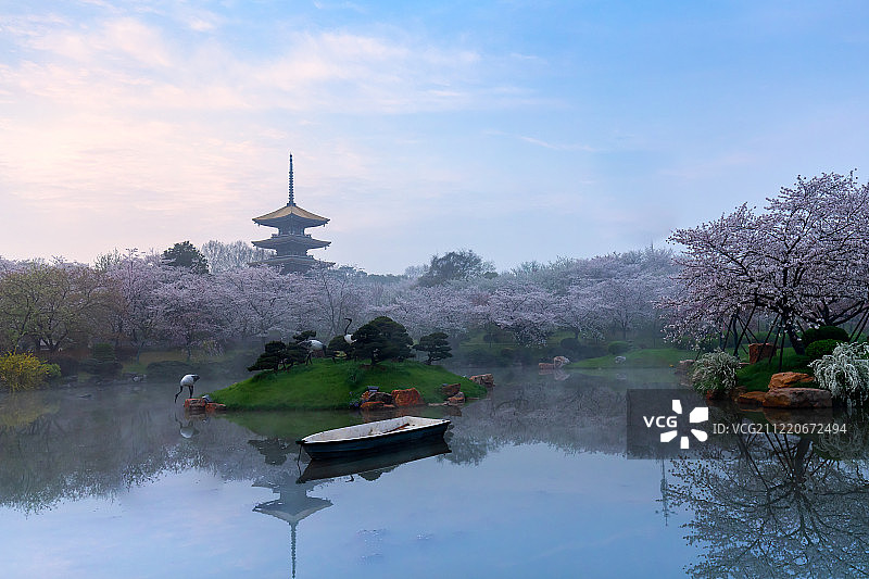 武汉东湖磨山樱花园图片素材