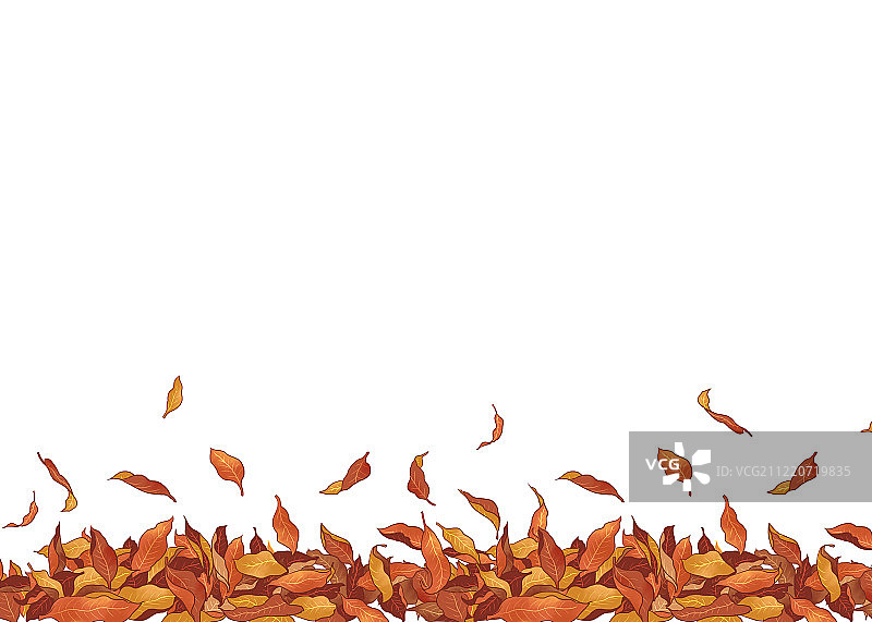 秋天的落叶插画背景白底图片素材