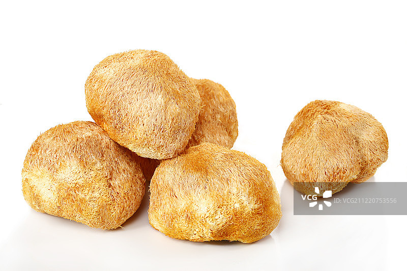 猴头菇图片素材