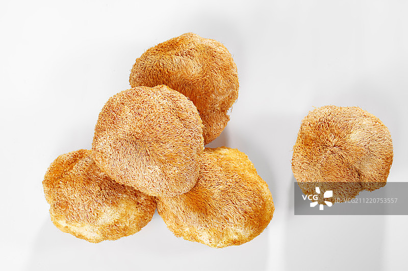 猴头菇图片素材