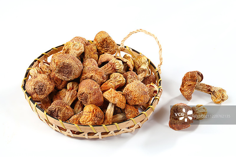 姬松茸图片素材