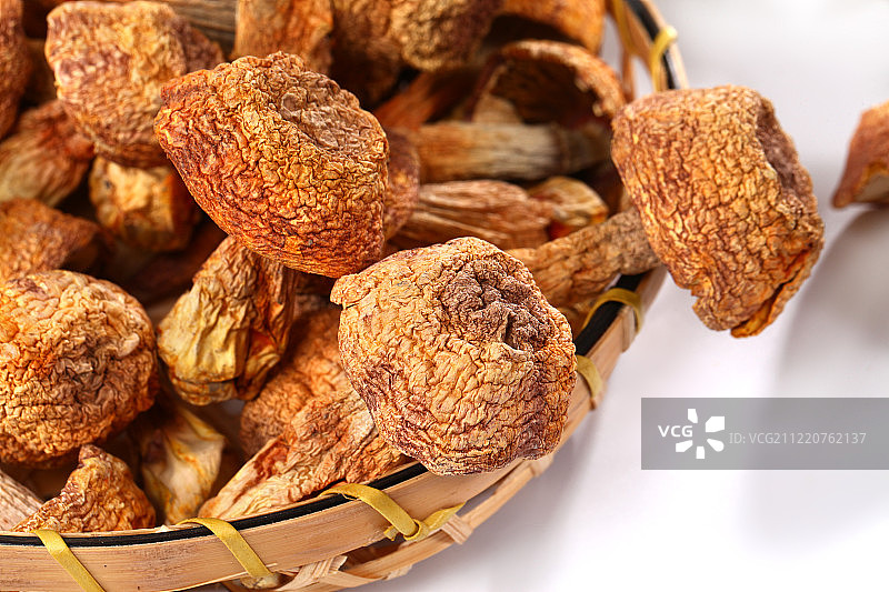 姬松茸特写图片素材