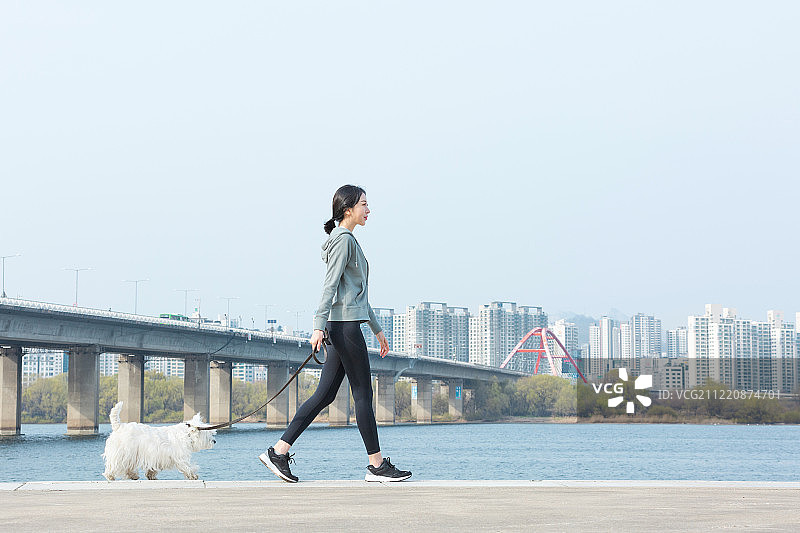 女人、遛狗、宠物、梗犬图片素材