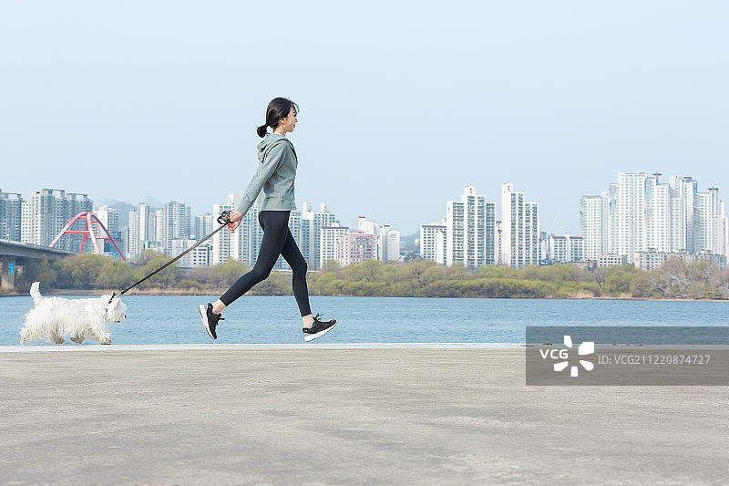 女人、遛狗、宠物、梗犬图片素材