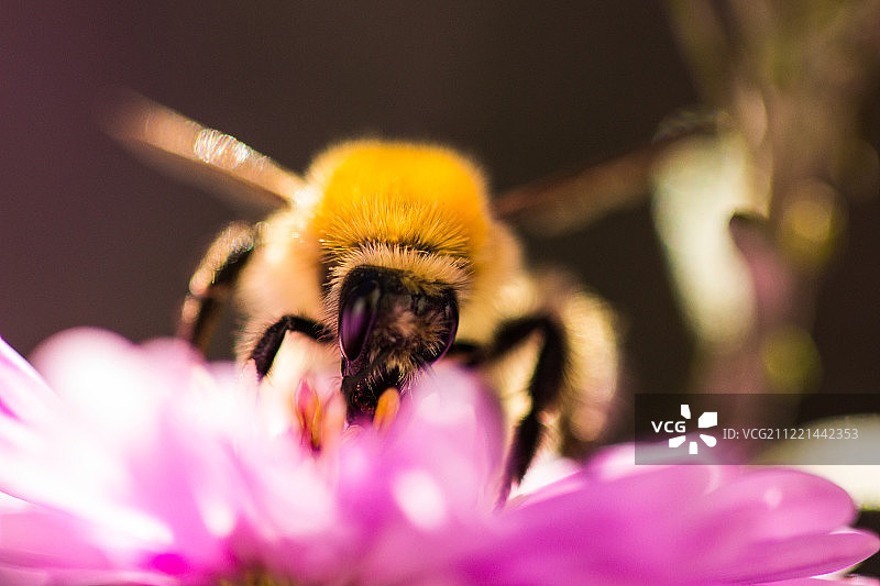 500像素照片ID: 122508725 -图片素材