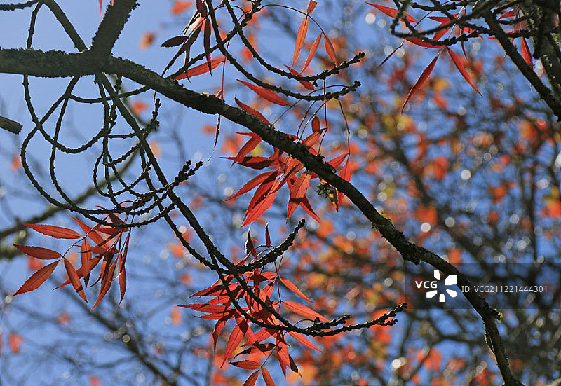斑驳的色彩图片素材