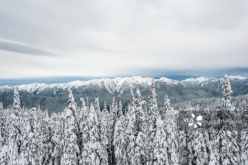 圣诞节后的一天图片素材