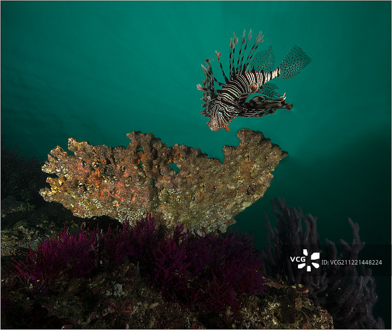 走出光明图片素材