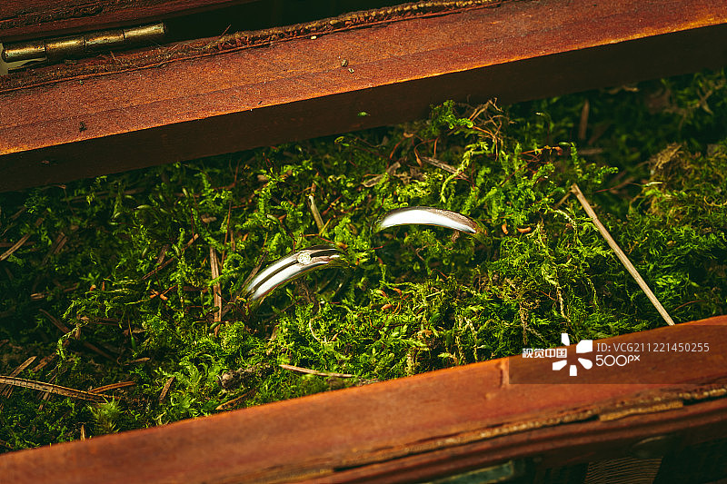 婚礼订婚戒指特写图片素材