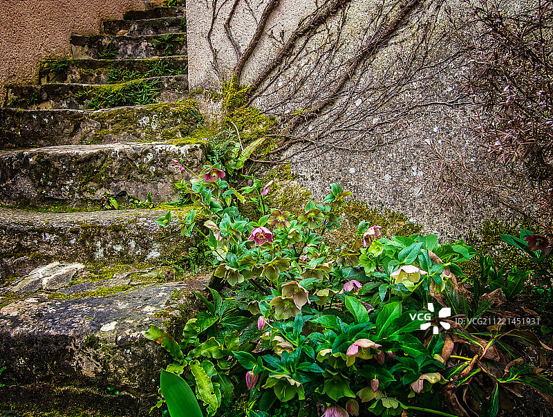 乡村阶梯图片素材