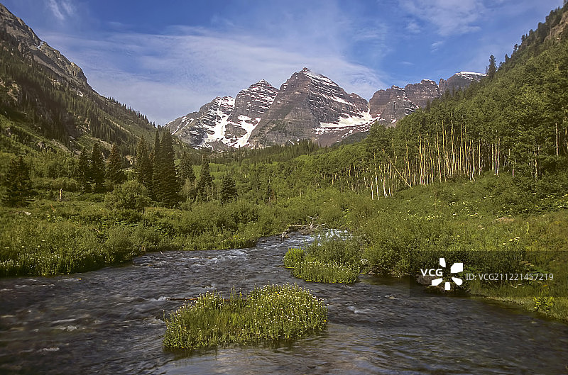 栗色钟的夏日风光图片素材