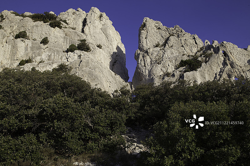 蒙米拉蕾丝图片素材
