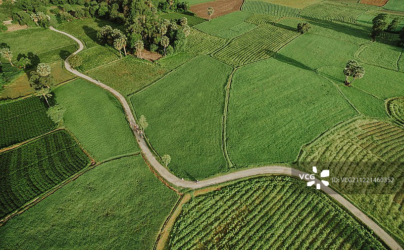 可爱的田野图片素材