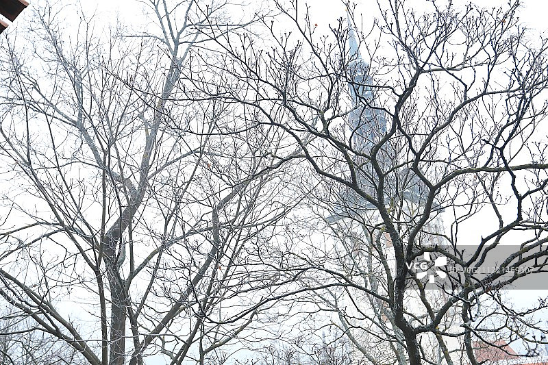 塔林， 爱沙尼亚图片素材