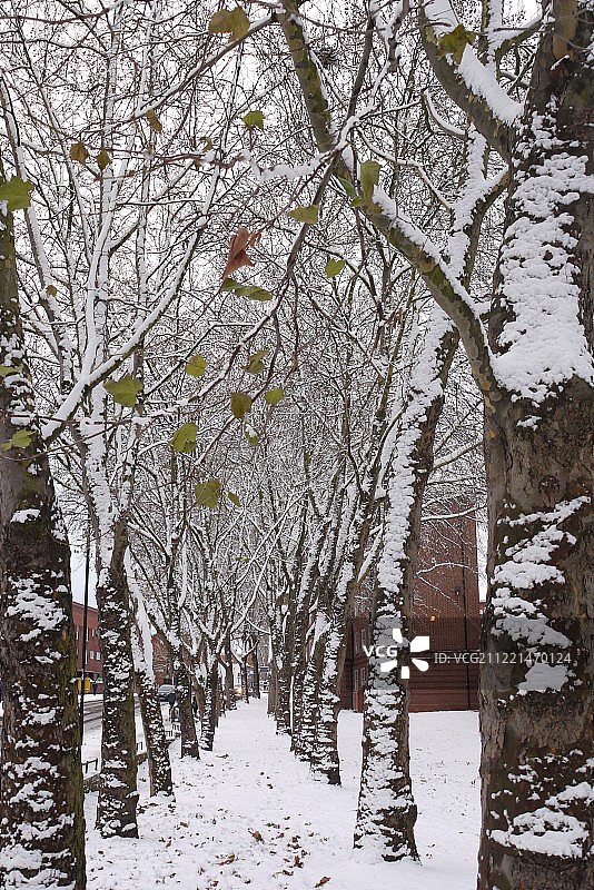 照片编号: 1568696 -图片素材