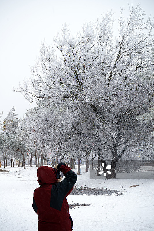 俄罗斯的冬天照片图片素材