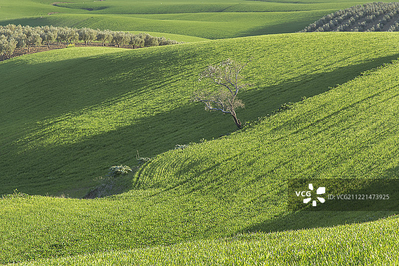 我的土地图片素材