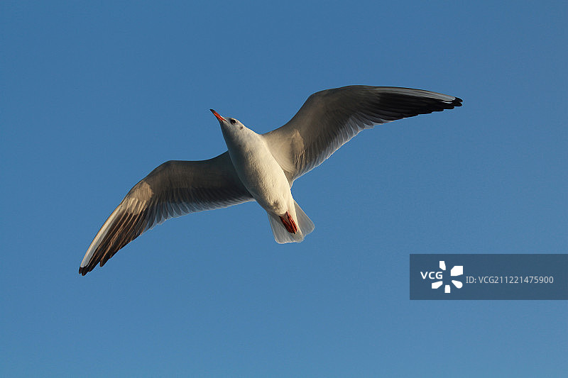 像拍摄一样图片素材