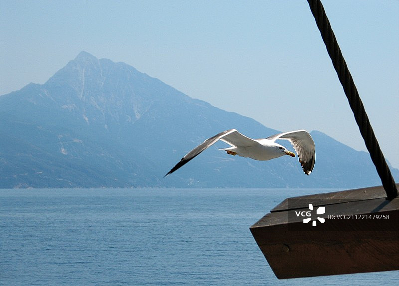 阿丰-哈尔基迪基图片素材