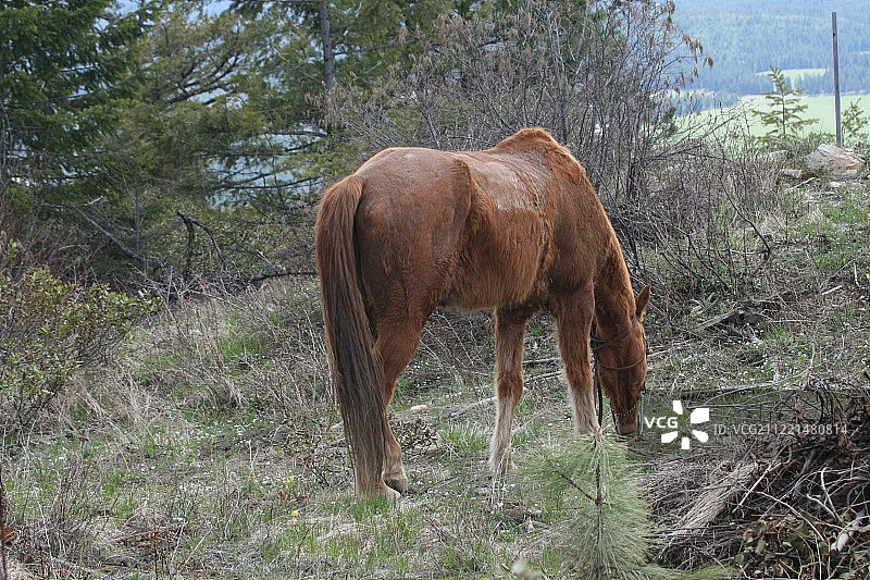 多张图片之一图片素材