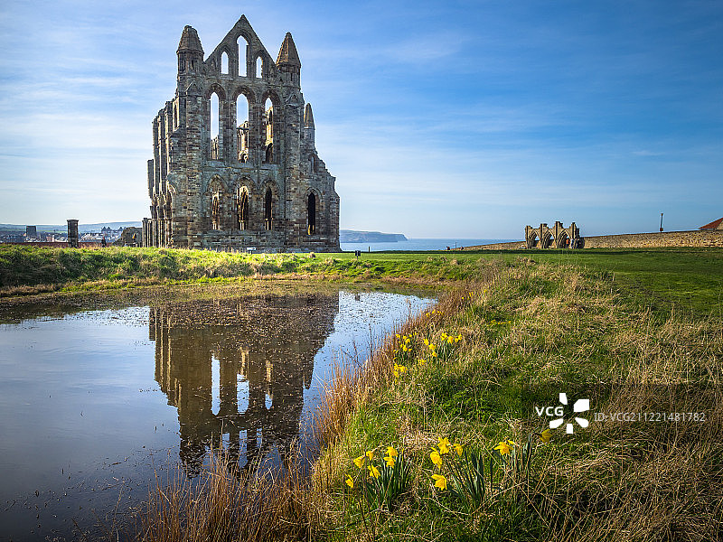 惠特比艾比图片素材