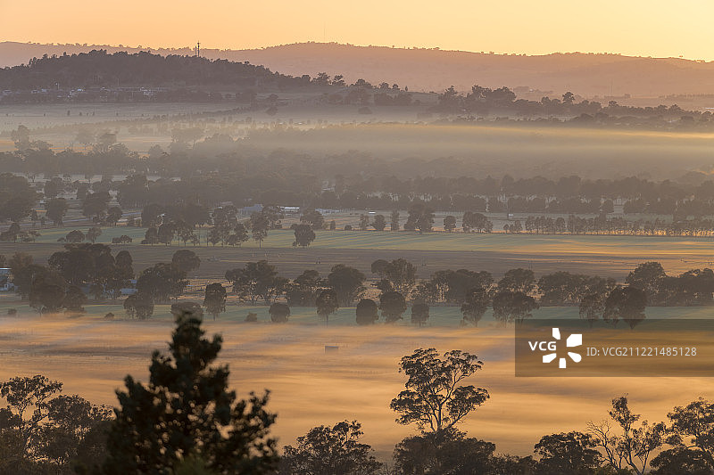 早晨的雾图片素材