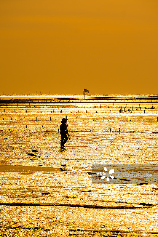 越南太平董C黎明图片素材