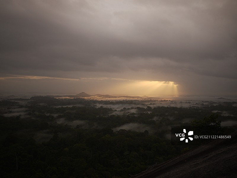 苏里南：八个月图片素材